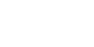 logotype pincl services